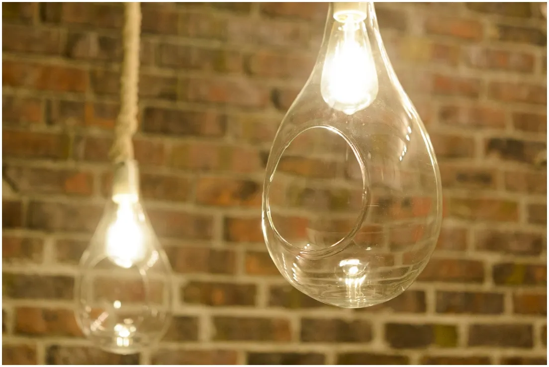 BOTANIC HANGING BASKET LIGHT | スワン電器 | SWAN