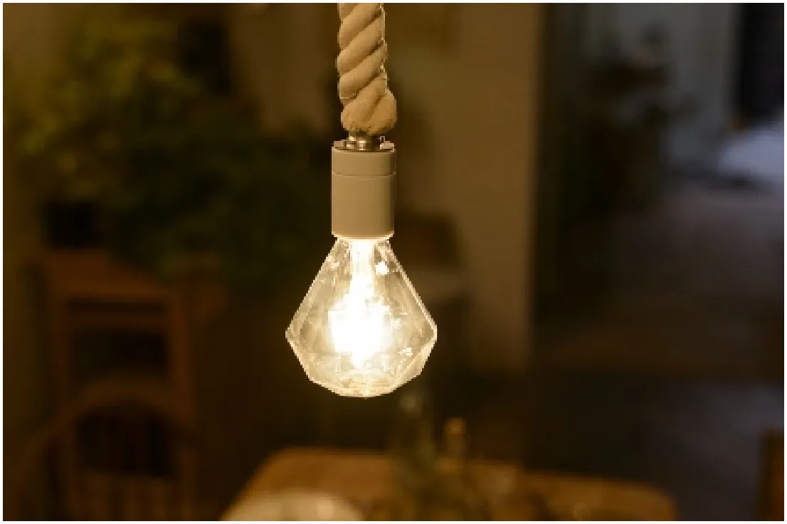 ボタニック ロープソケット ペンダントライト　スワン電器　【2個セット】 BOTANIC ROPE SOCKET | スワン電器 | SWAN
