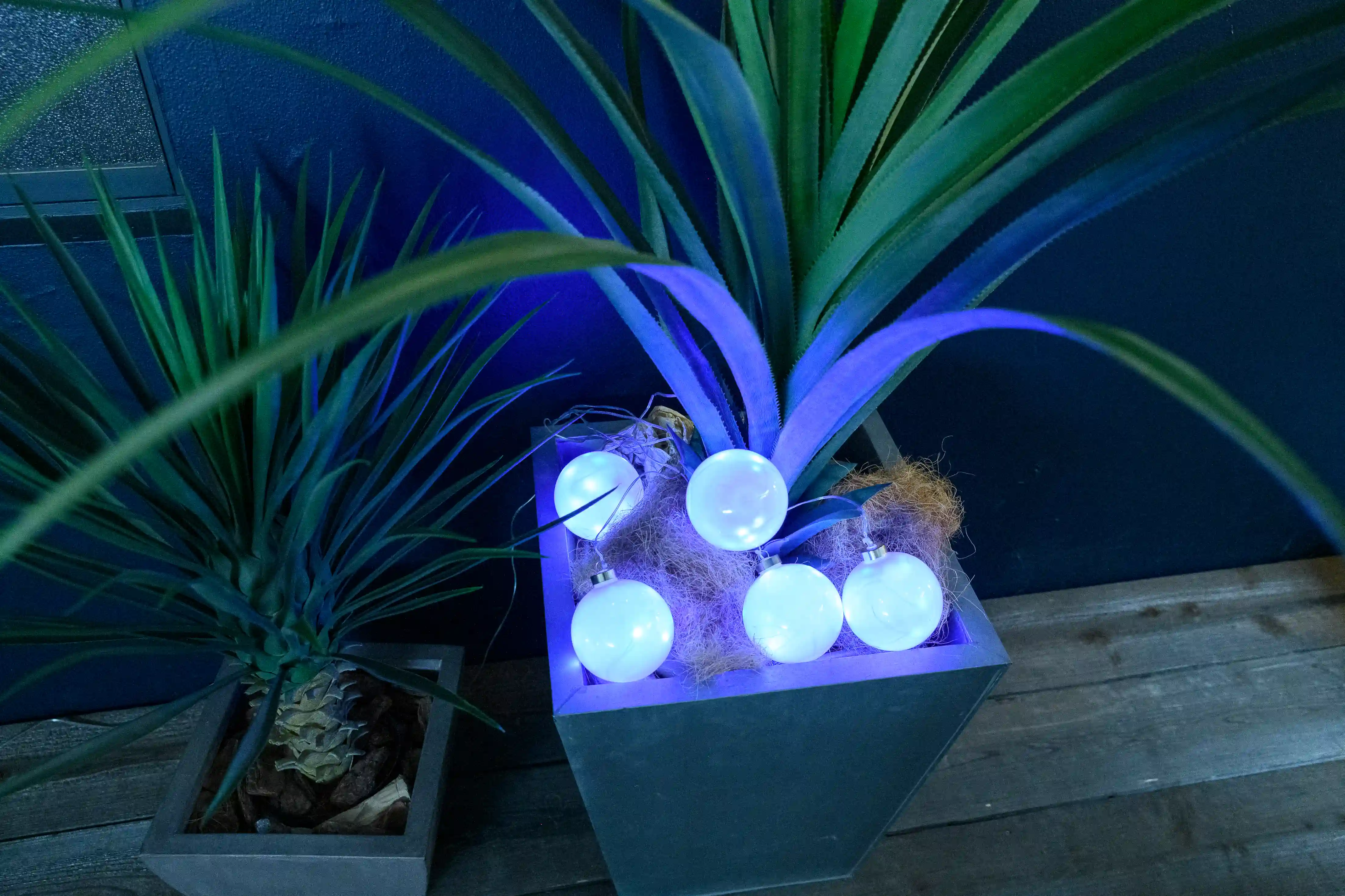 BOTANIC AMAZING BALL LIGHT COOL | スワン電器 | SWAN