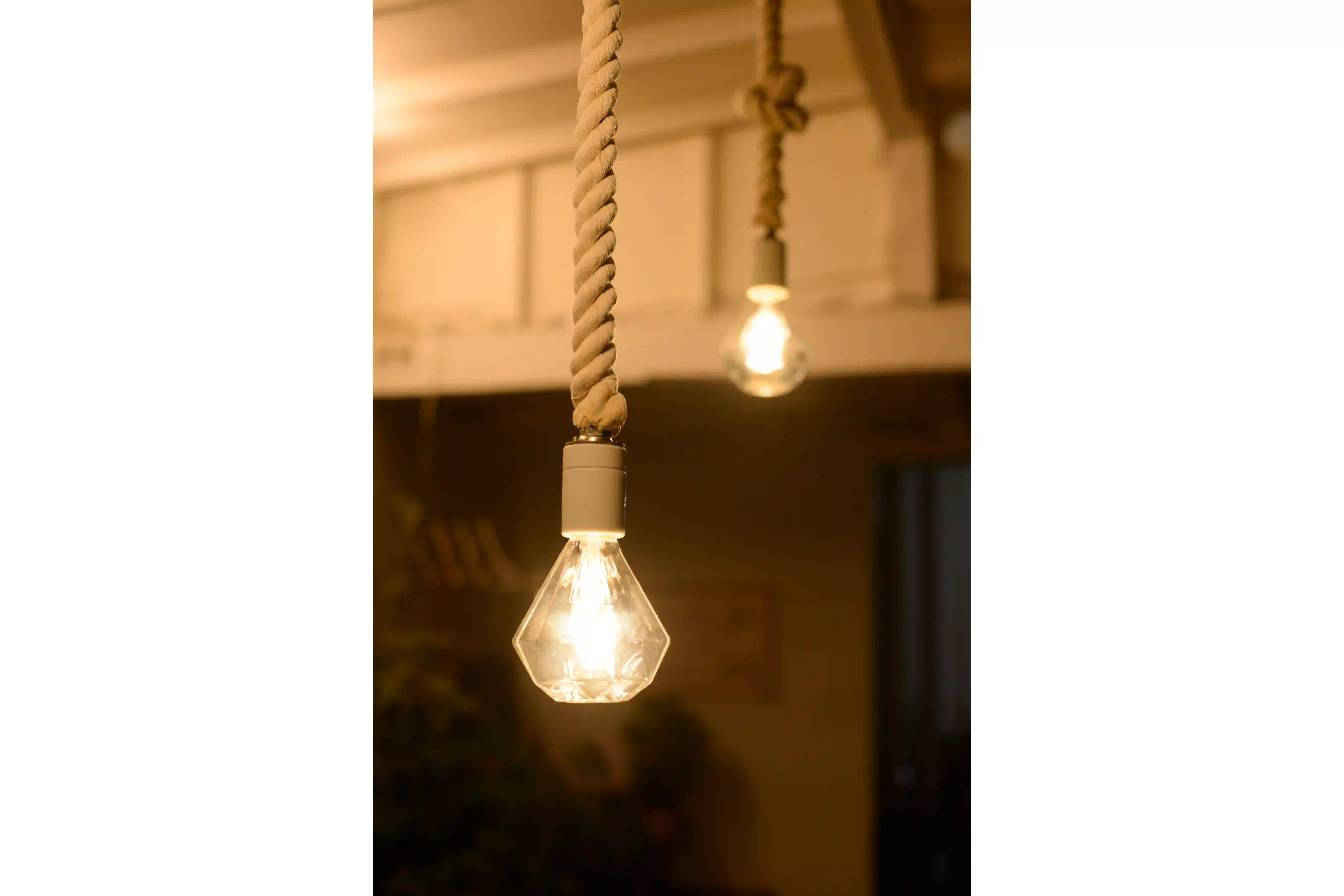 BOTANIC ROPE SOCKET | スワン電器 | SWAN