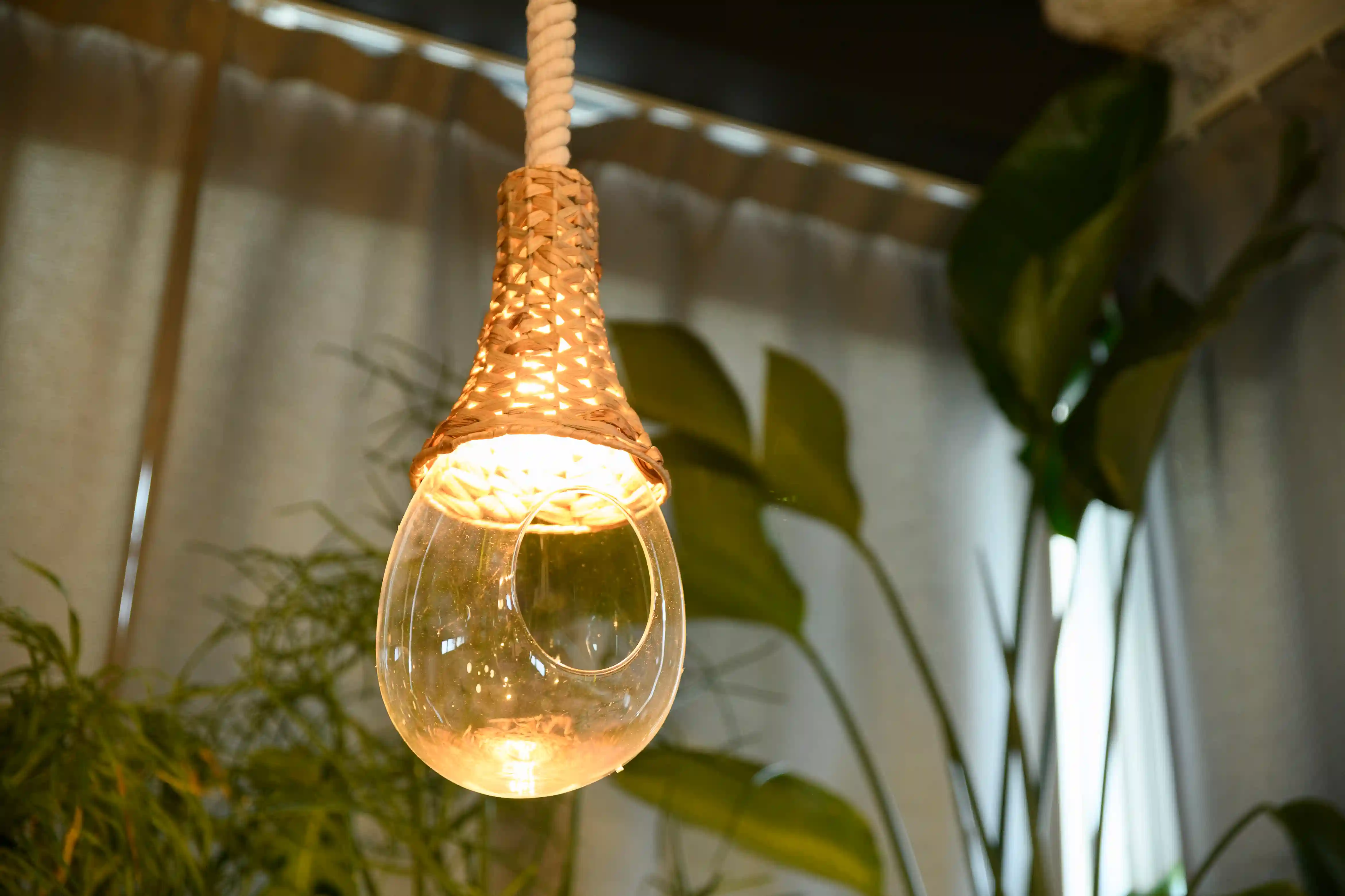 BOTANIC HANGING BASKET LIGHT | スワン電器 | SWAN