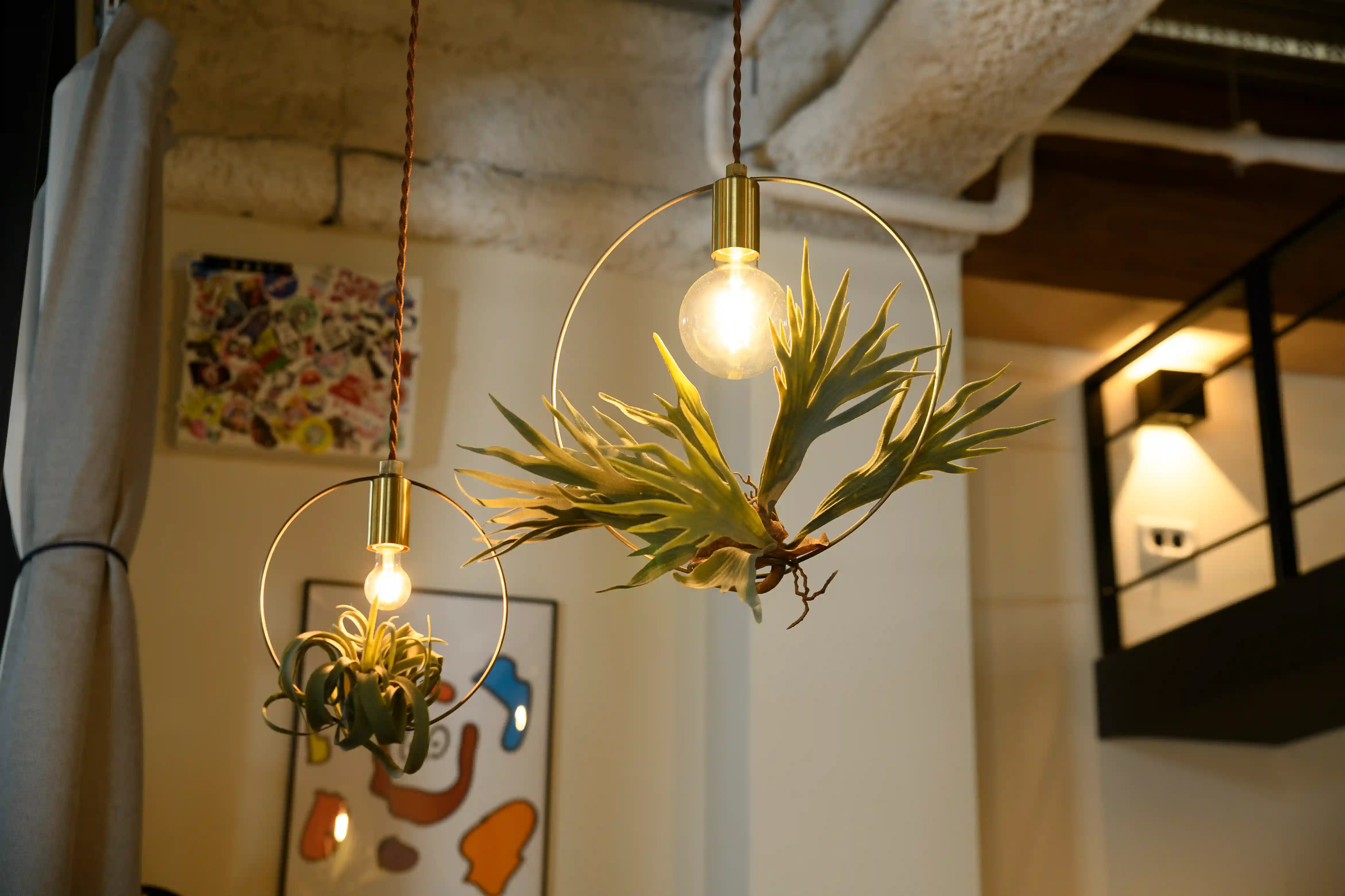 ペンダントライト APE-700NA スワン　BOTANIC swan BOTANIC HANGING WIRERING LIGHT | スワン電器 | SWAN