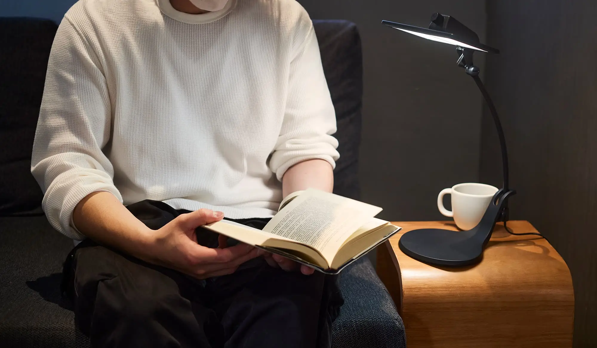 EXARM OLED Petit | スワン電器 | SWAN