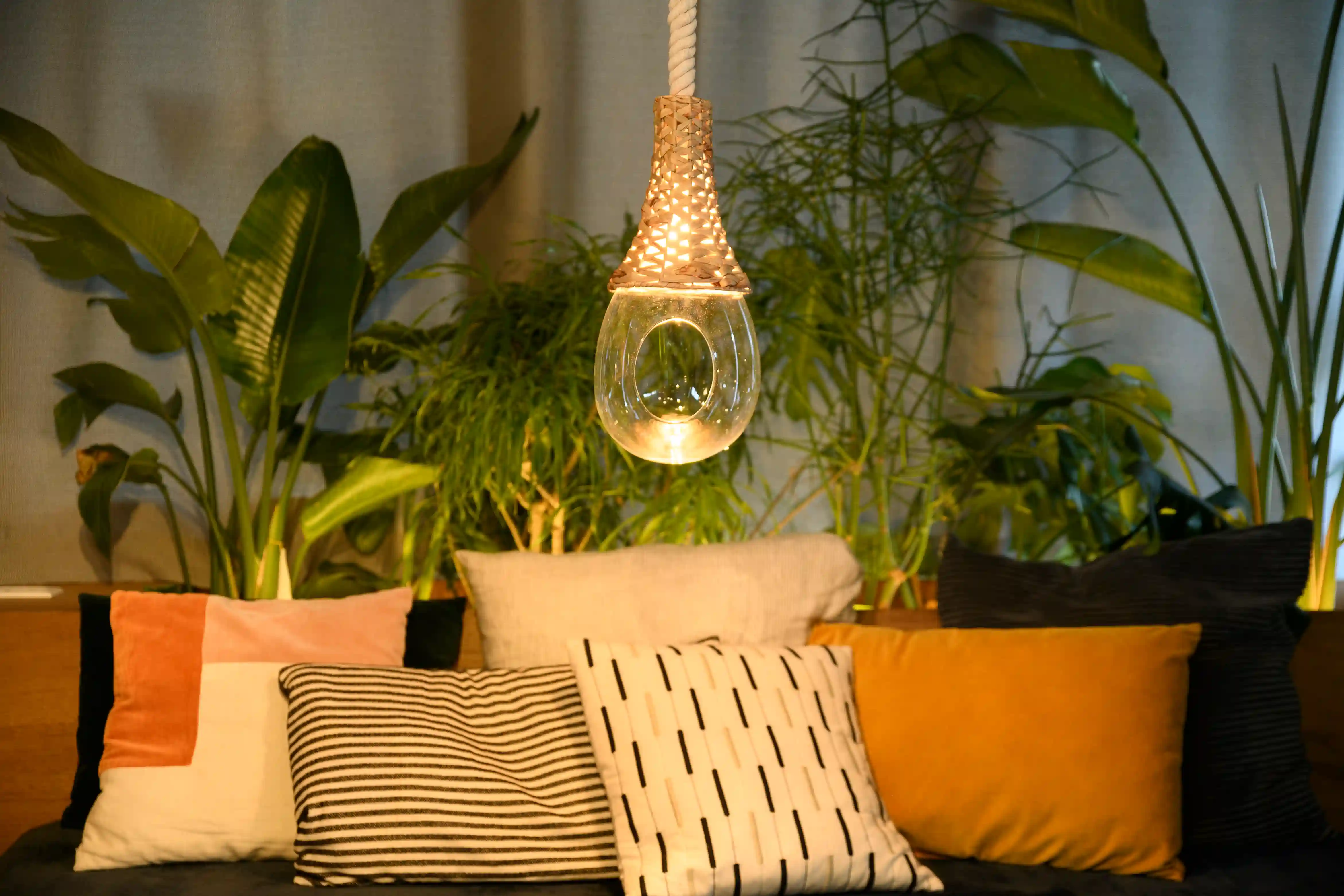 BOTANIC HANGING BASKET LIGHT | スワン電器 | SWAN