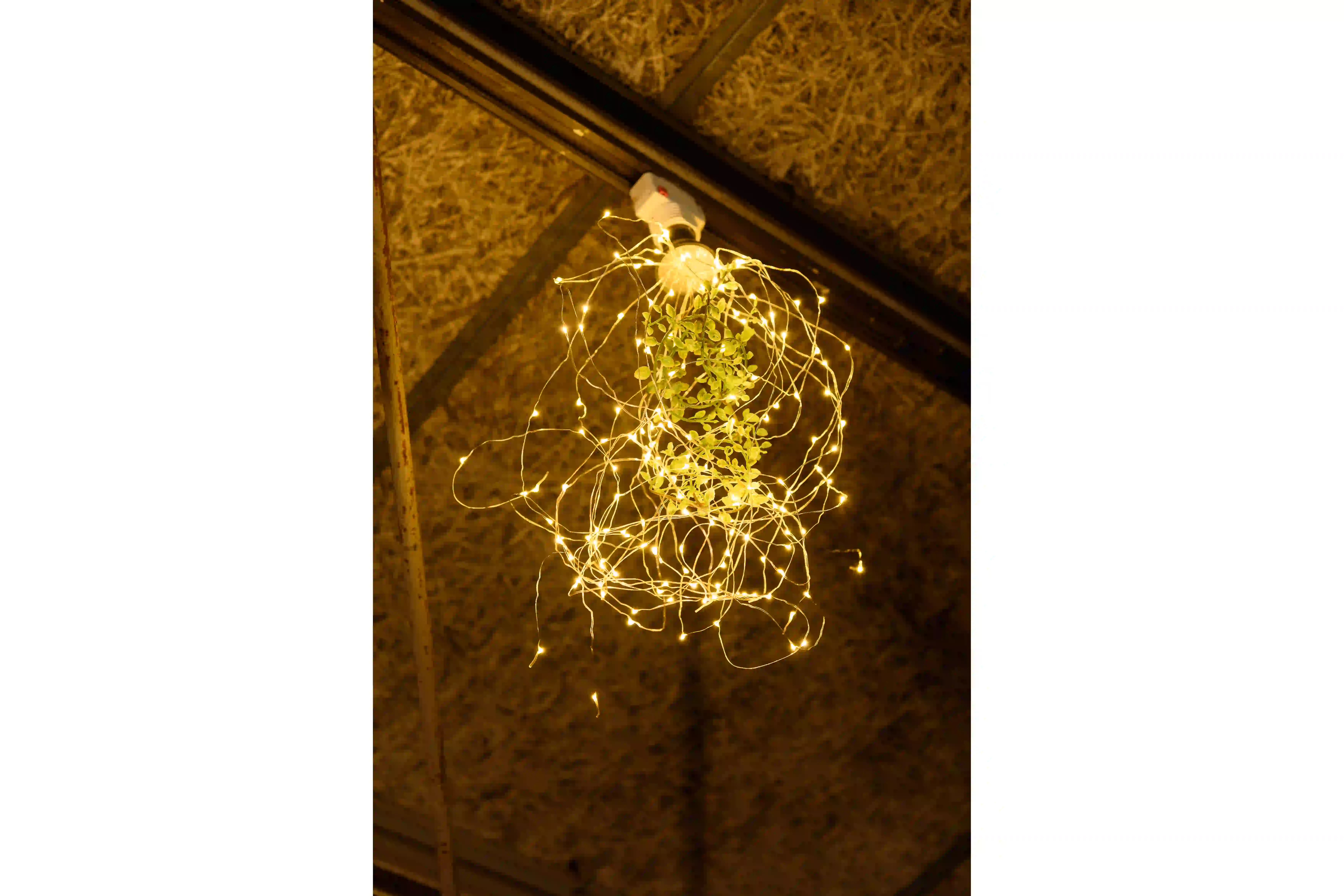 LED SWAN BULB SPARKLER | スワン電器 | SWAN