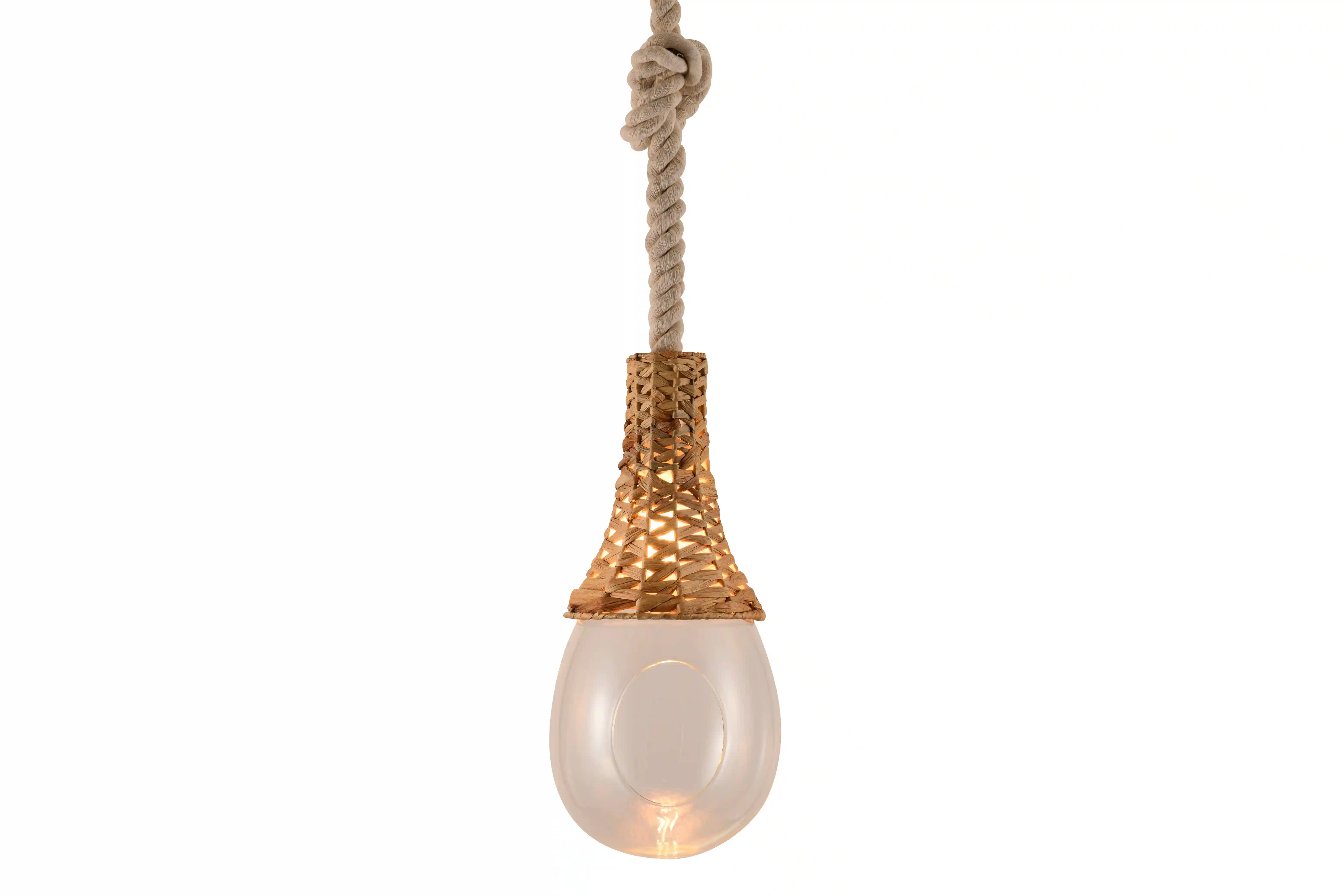 BOTANIC HANGING BASKET LIGHT | スワン電器 | SWAN