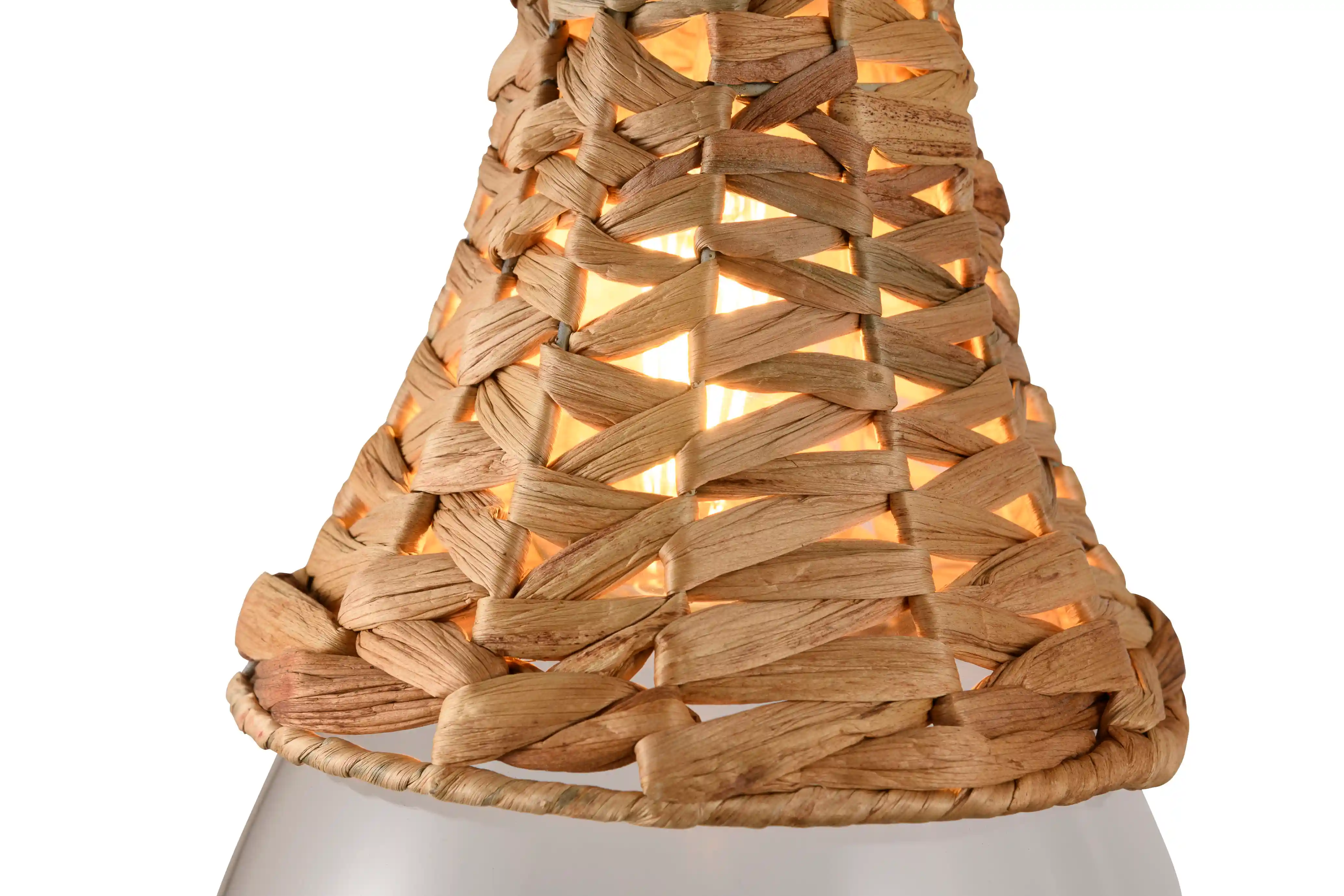 BOTANIC HANGING BASKET LIGHT | スワン電器 | SWAN