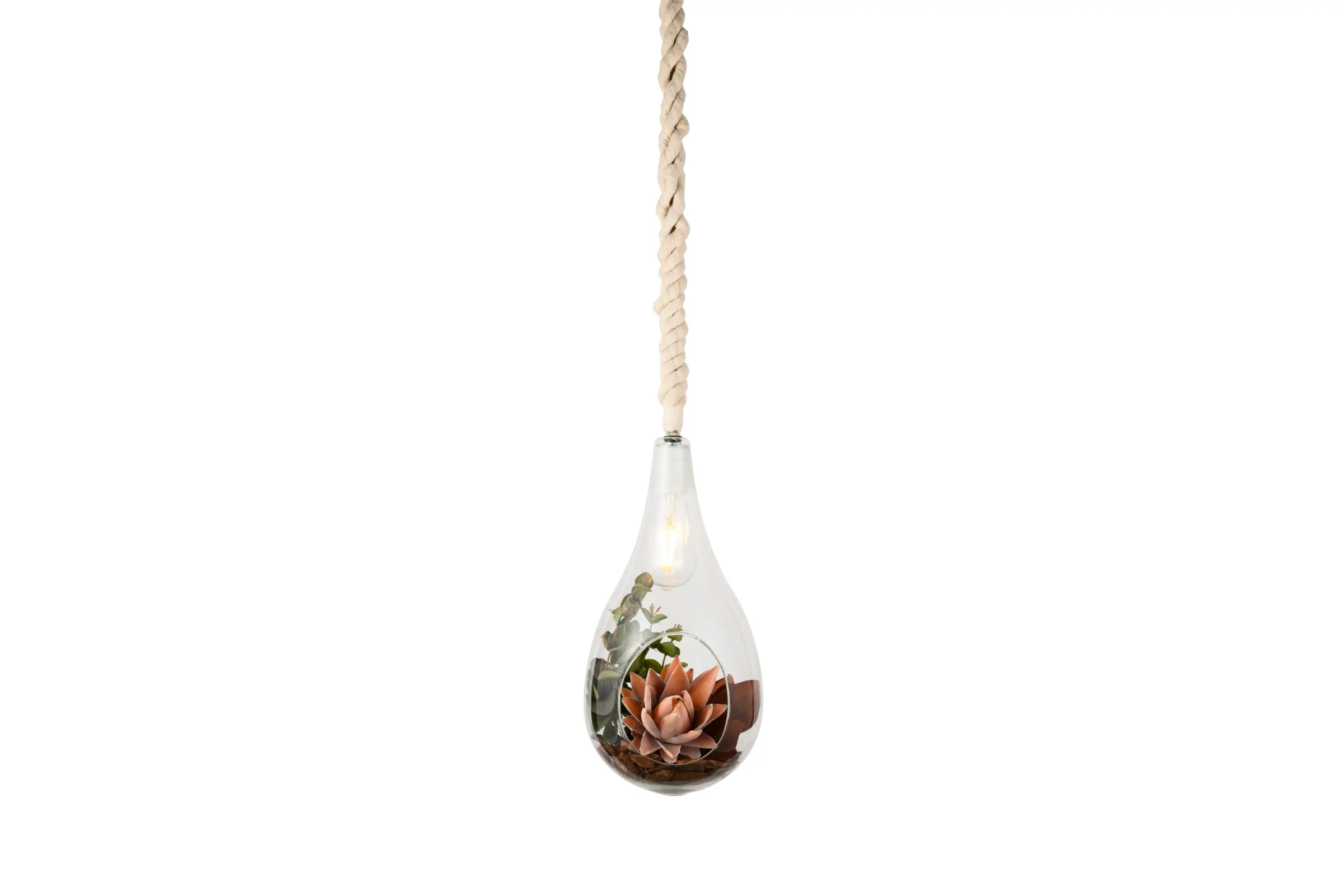 BOTANIC HANGING LIGHT with FAKEGREEN | スワン電器 | SWAN