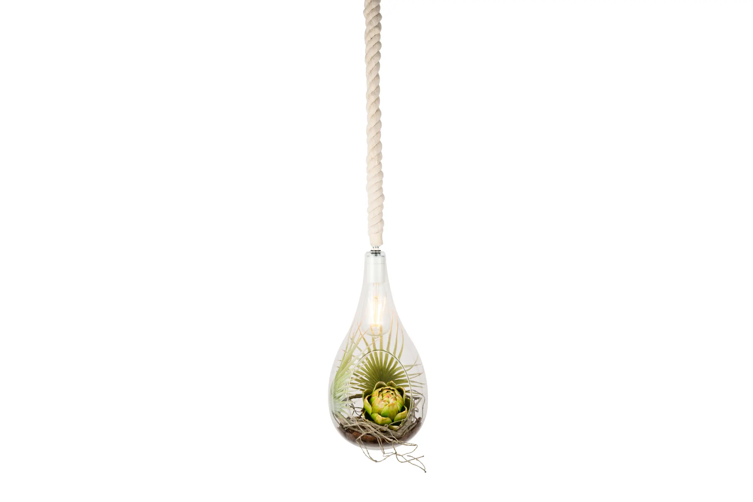 BOTANIC HANGING LIGHT with FAKEGREEN | スワン電器 | SWAN