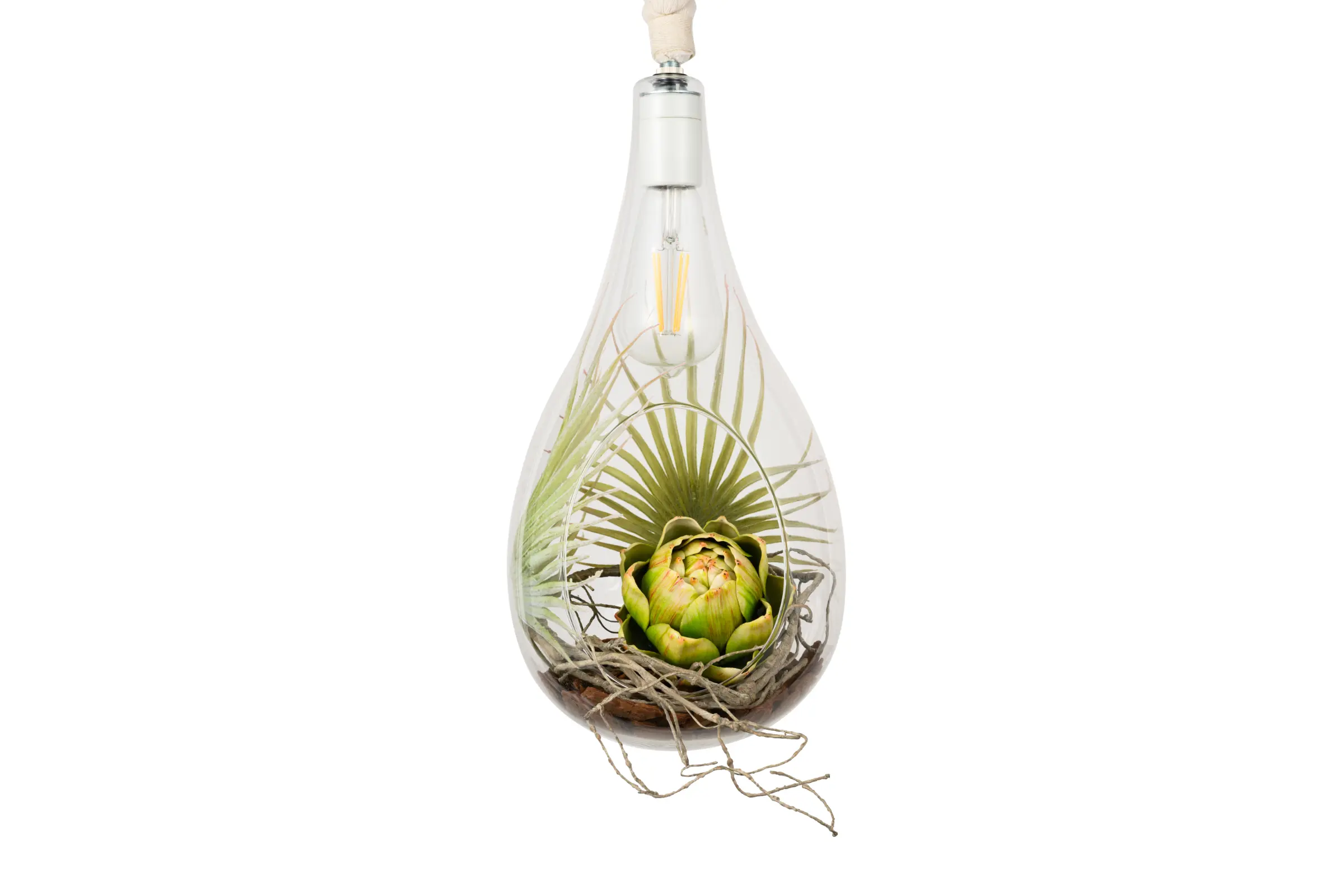 BOTANIC HANGING LIGHT with FAKEGREEN | スワン電器 | SWAN
