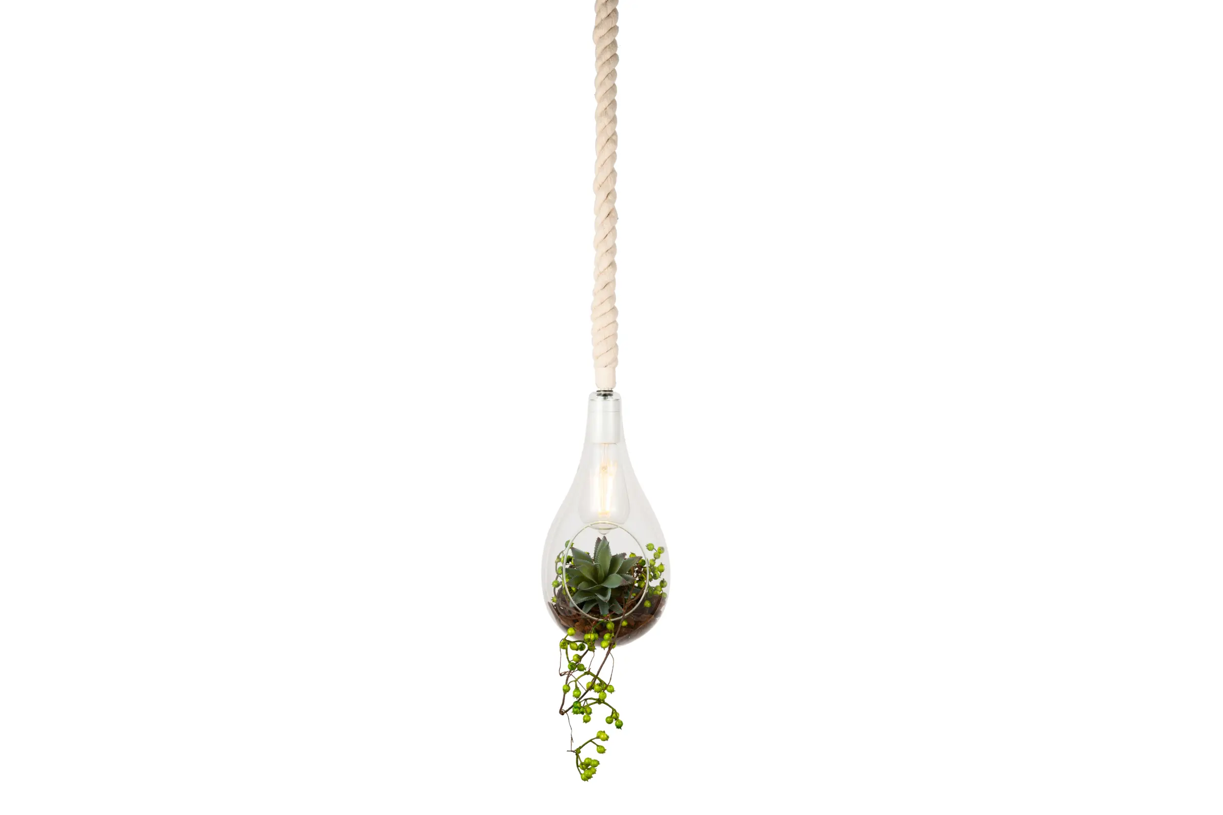 BOTANIC HANGING LIGHT with FAKEGREEN | スワン電器 | SWAN