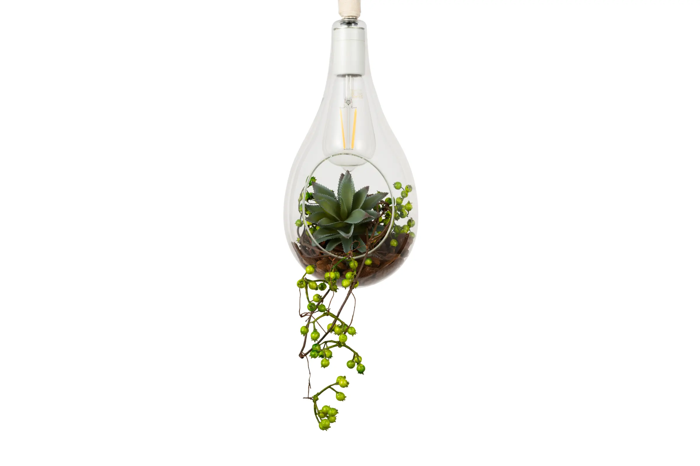 BOTANIC HANGING LIGHT with FAKEGREEN | スワン電器 | SWAN