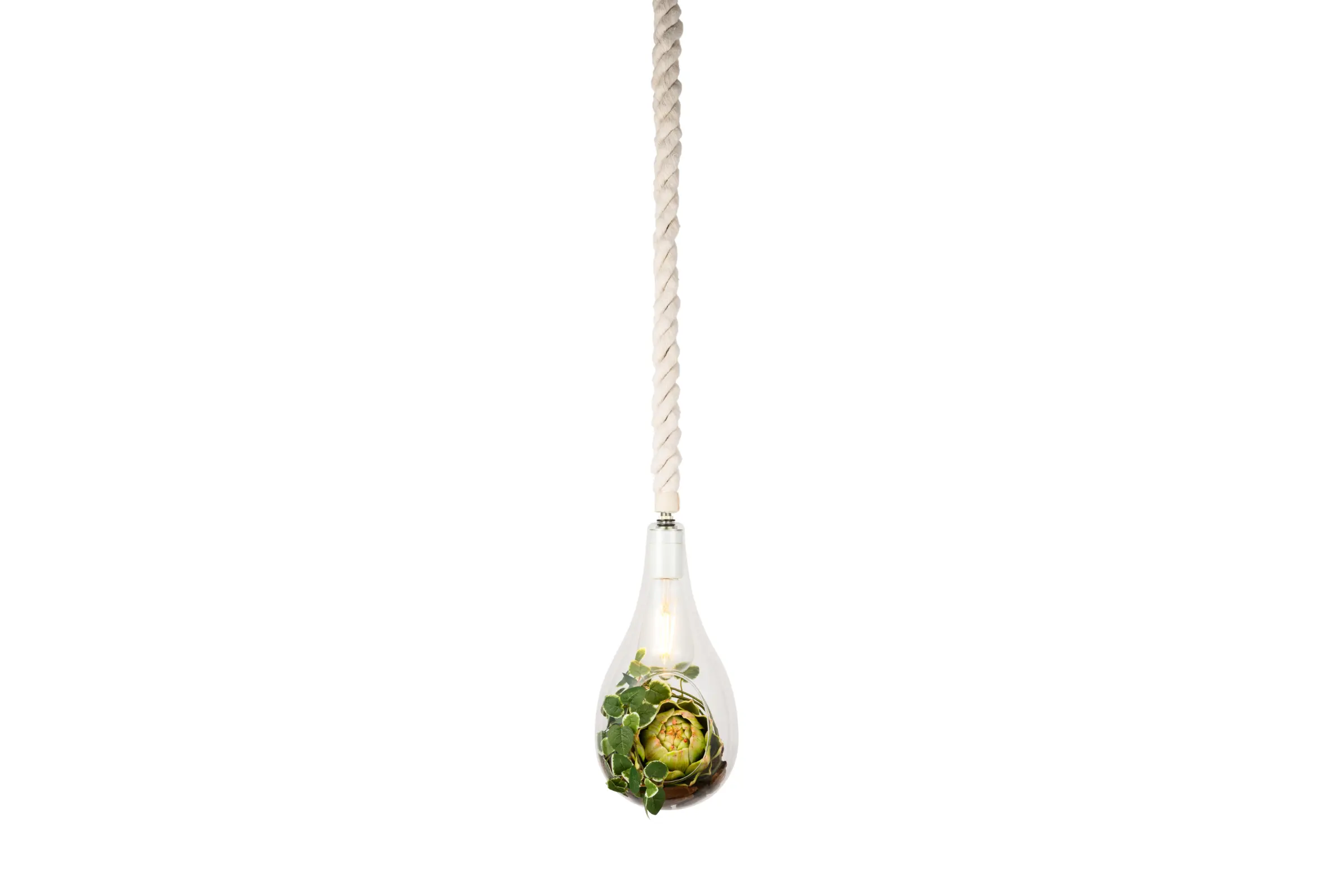 BOTANIC HANGING LIGHT with FAKEGREEN | スワン電器 | SWAN