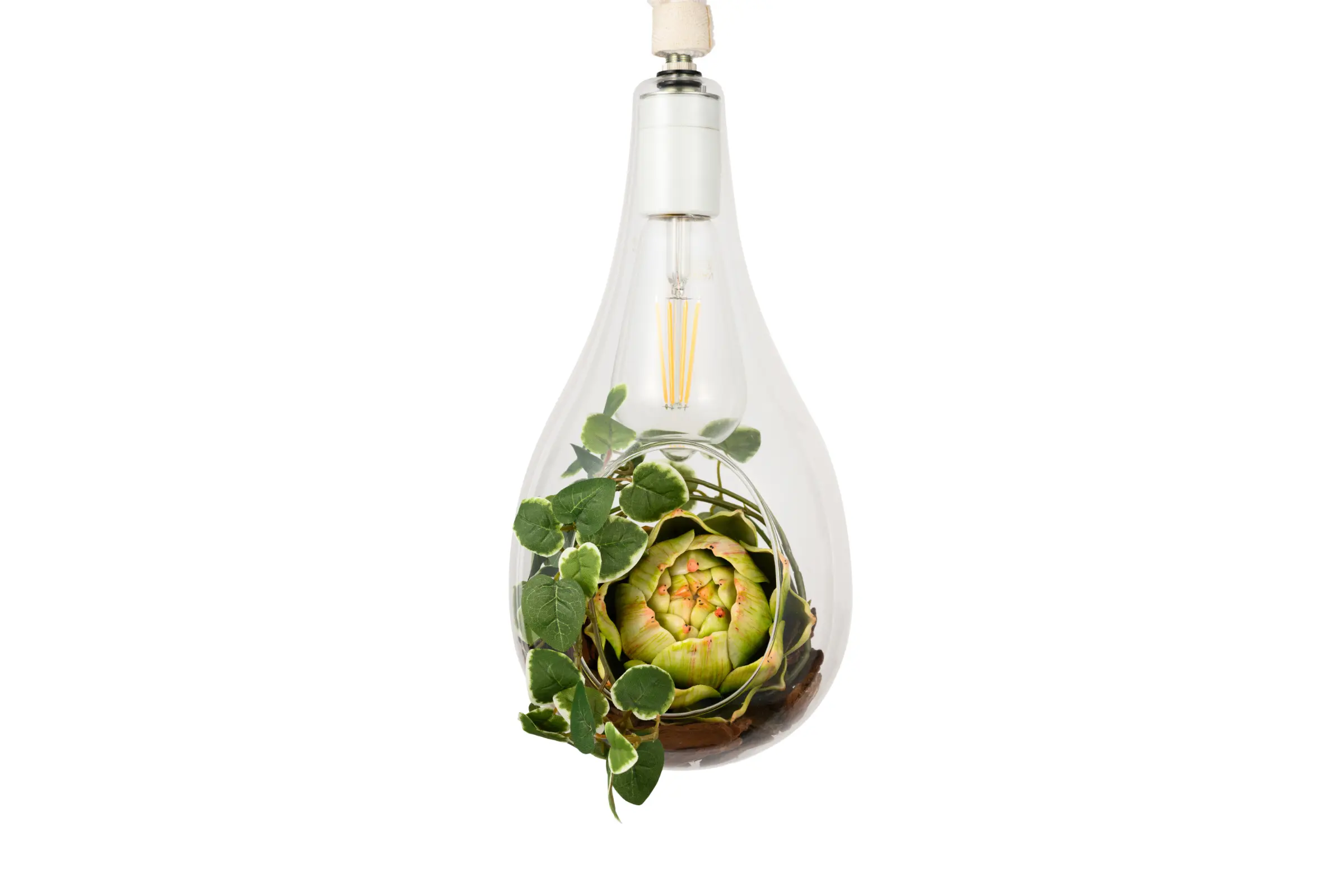 BOTANIC HANGING LIGHT with FAKEGREEN | スワン電器 | SWAN