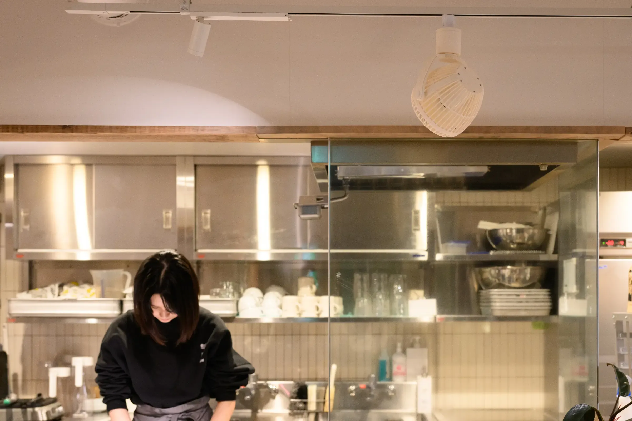 UZUKAZE レールファン ホワイト UZUKAZE RAILFAN | スワン電器 | SWAN