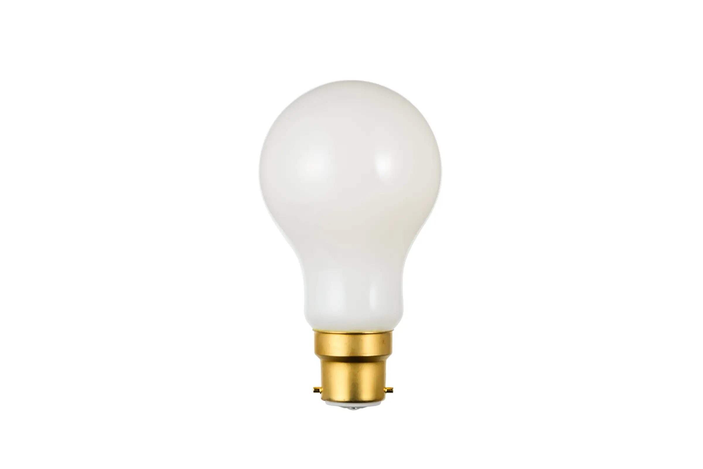 LED SWAN BULB 2400 WHITE EDISWAN DC24V | スワン電器 | SWAN