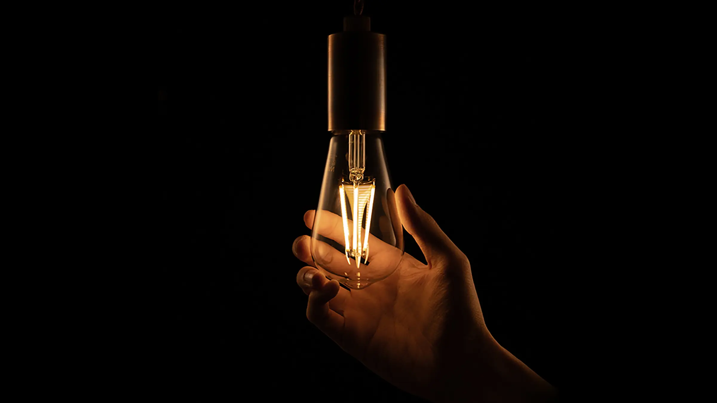 LED SWAN BULB | スワン電器 | SWAN