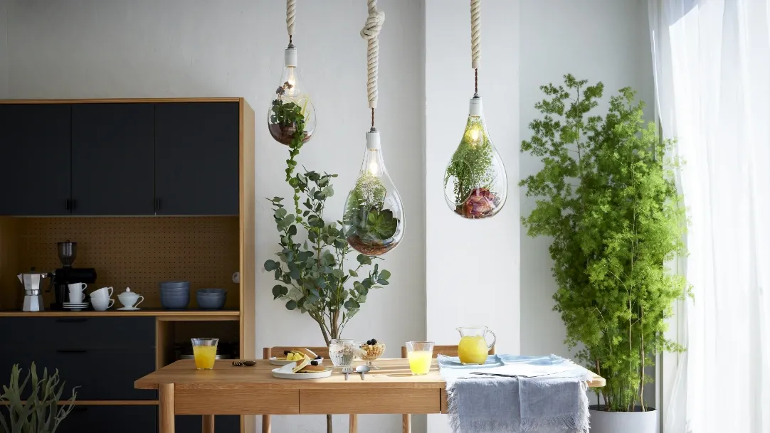 Another Garden | スワン電器 | SWAN
