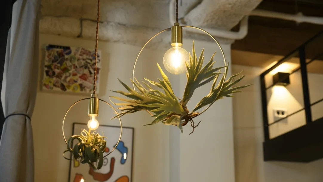 Another Garden | スワン電器 | SWAN